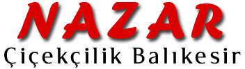 BALIKESİR NAZAR ÇİÇEK EVİ