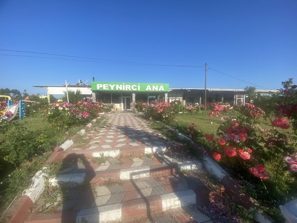 PEYNİRCİ ANA SUT VE SUT URUNLERI