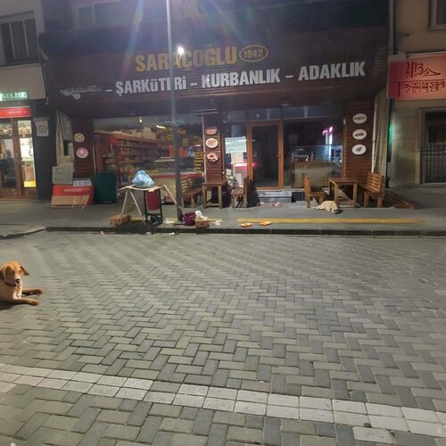 Çınar Lokantası