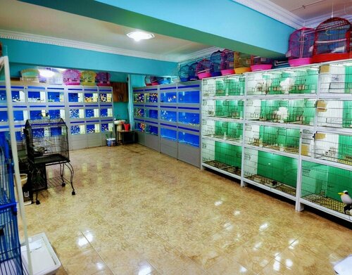 Hayvanlar Alemi Petshop