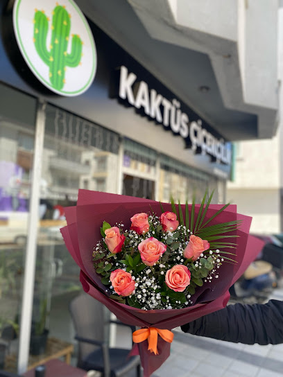 Bolu Çiçekçi Kaktüs Çiçekçilik