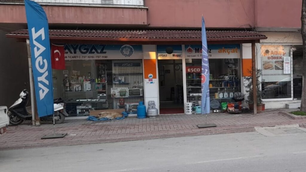 AY KARGO İZNİK