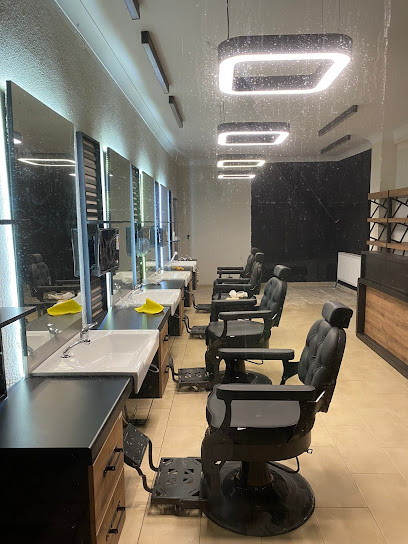 Salon Kasım Arı