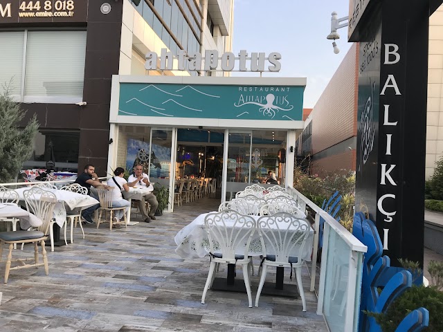 By Ahtapotus Balık Restoranı – Nilüfer