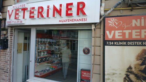 Özel Nilüfer Veteriner Kliniği – Nilüfer