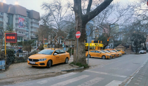0rhangazi Çınar Taksi