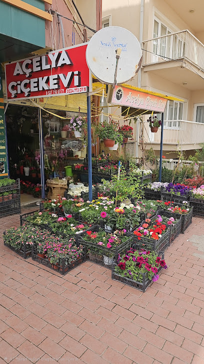 Açelya Uluslararası Çiçek Evi Yenişehir