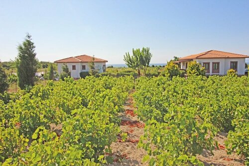 Karina Vineyard House