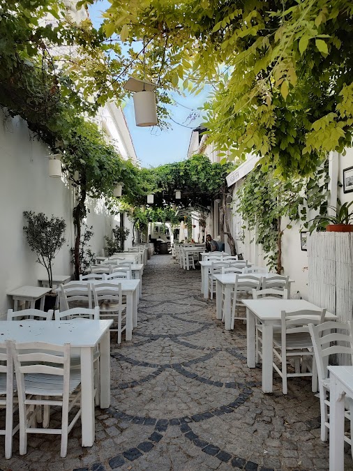 Ortabozca
