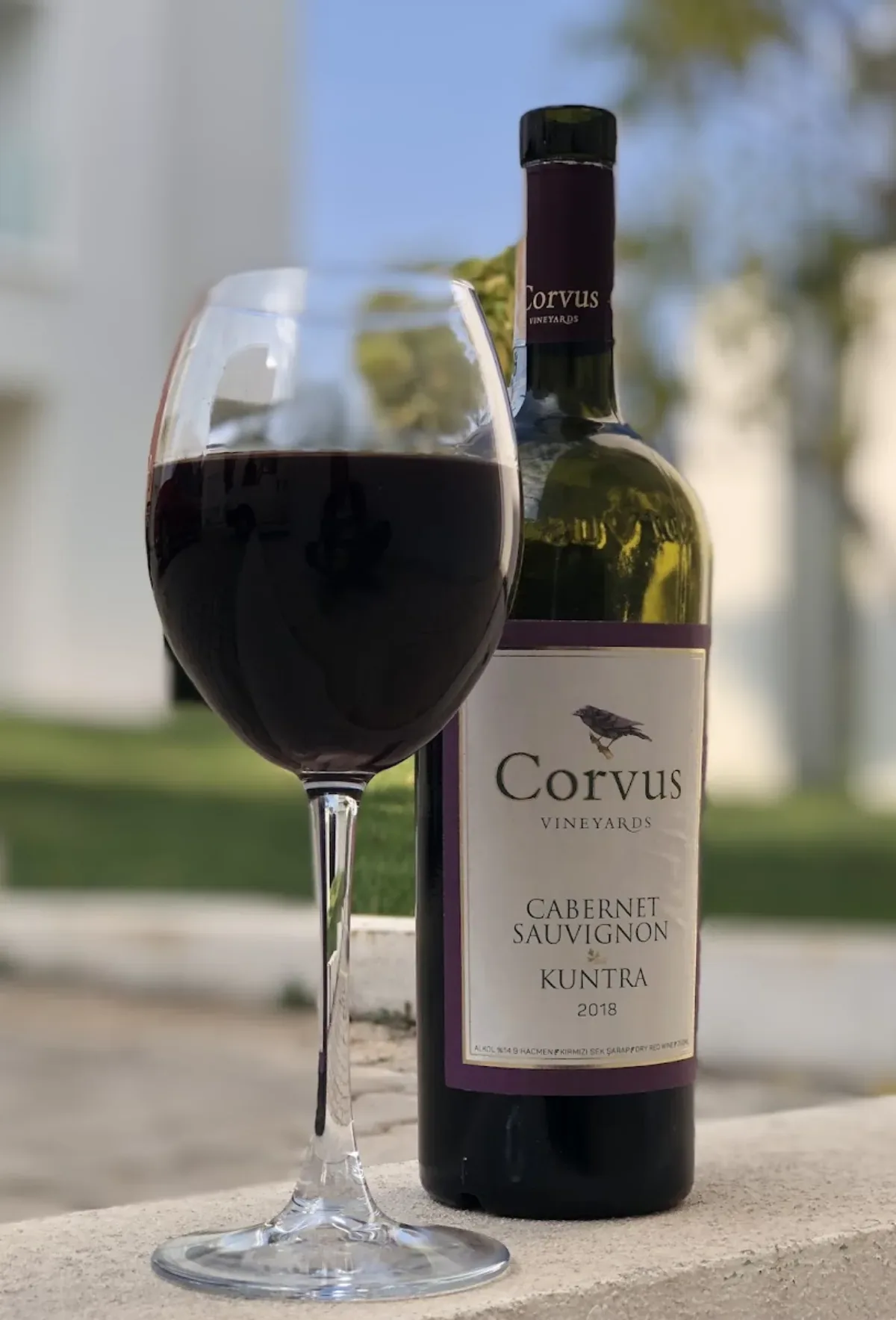 Corvus Şarapçılık