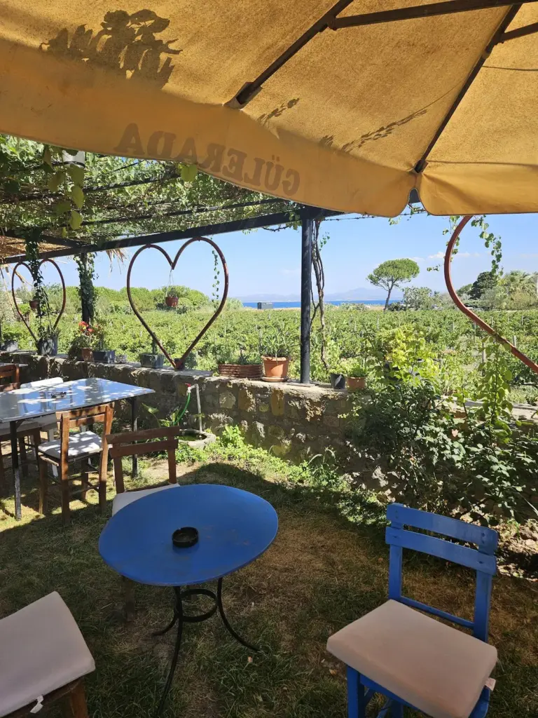 Güler Ada Wine Jam