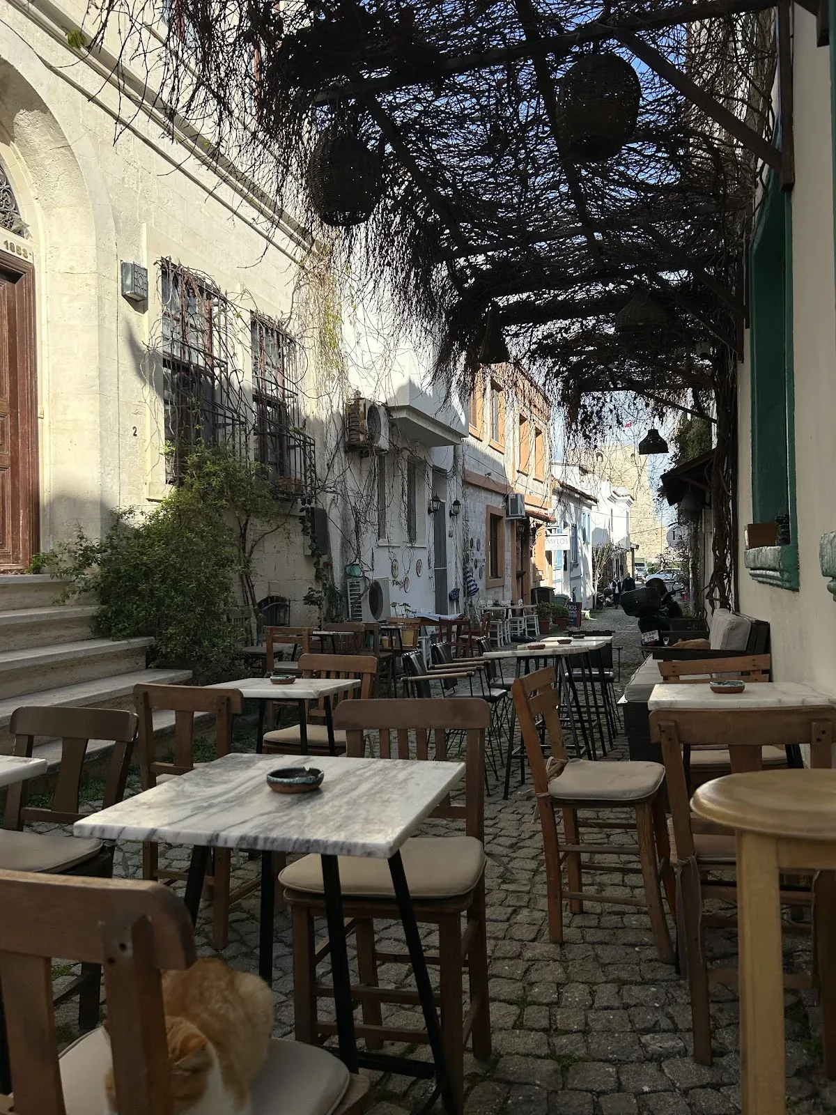Sapa Bozcaada