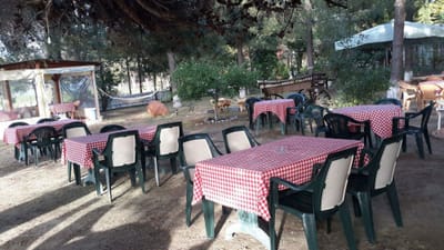 Zeytin Cafe & Bungalows