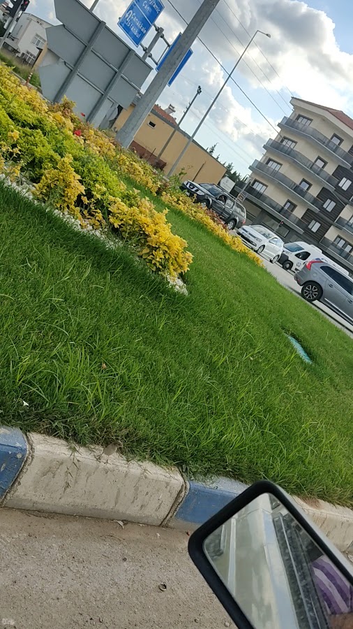 Nam Demir Doğrama