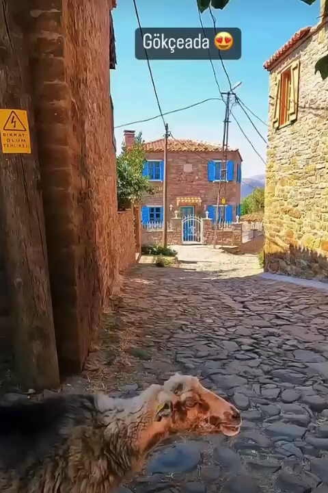 Gökçeada Eva Taksi