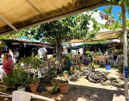 Ada Tatlı Evi Ayşe Hanım