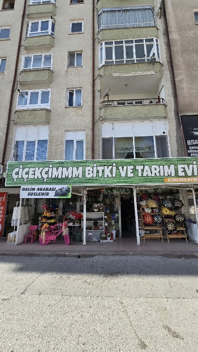 Çiçekçimm Çankırı