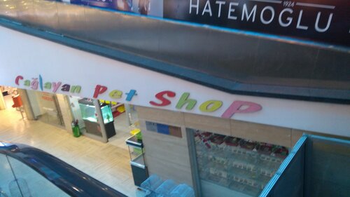 Çağlayan Pet Shop
