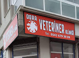 Ay-vet Veteriner
