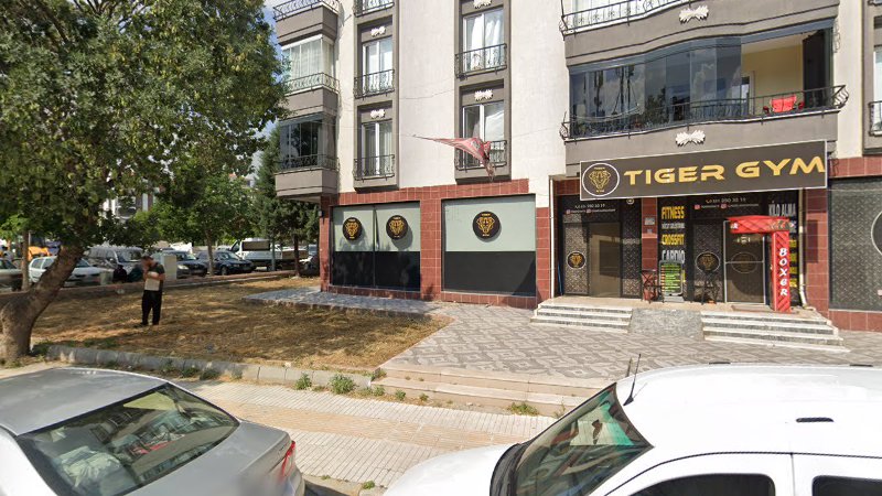 Tiger Gym