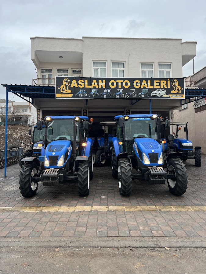 ASLAN OTO GALERİ