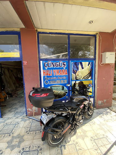 ÇÜNGÜŞ HALI YIKAMA