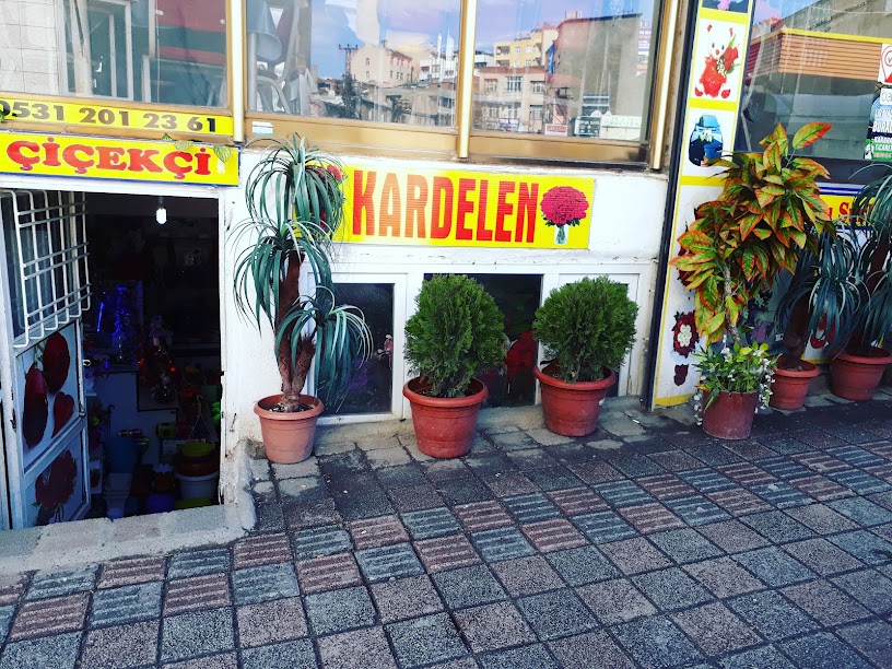 Kardelen Çiçekçilik