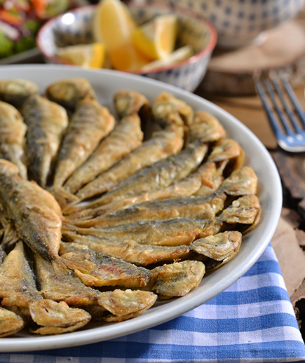 Hamsi Balık Lokantaları
