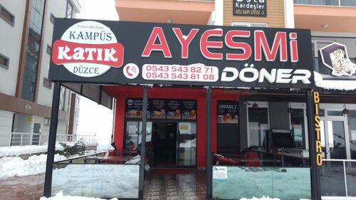 Ayesmi Döner
