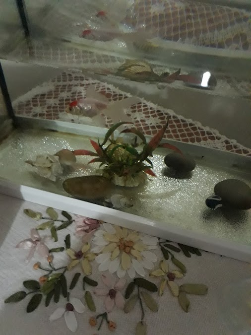 Minişka Cafe Yukarı Zaferiye
