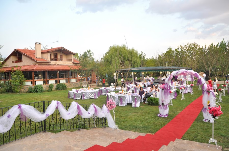 Hayal Bahçesi Karaağaç