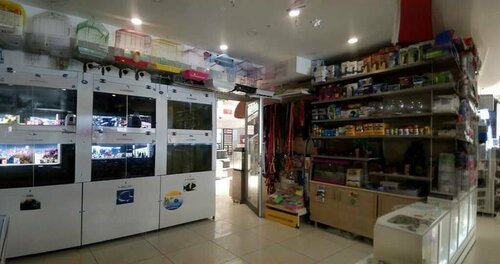 Blue Petshop