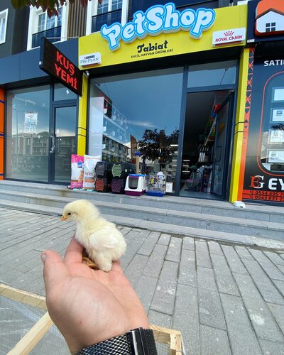 Tabiat Pet Evcil Hayvan Ve Ürünleri Dadaşkent Petshop