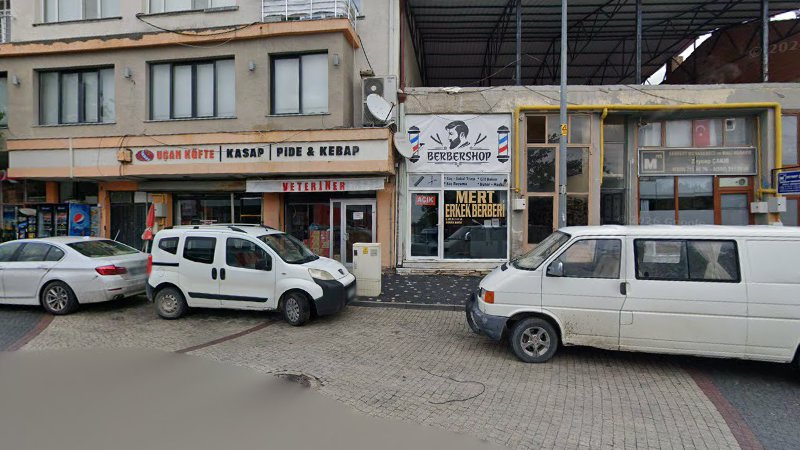 Mert Erkek Berberi