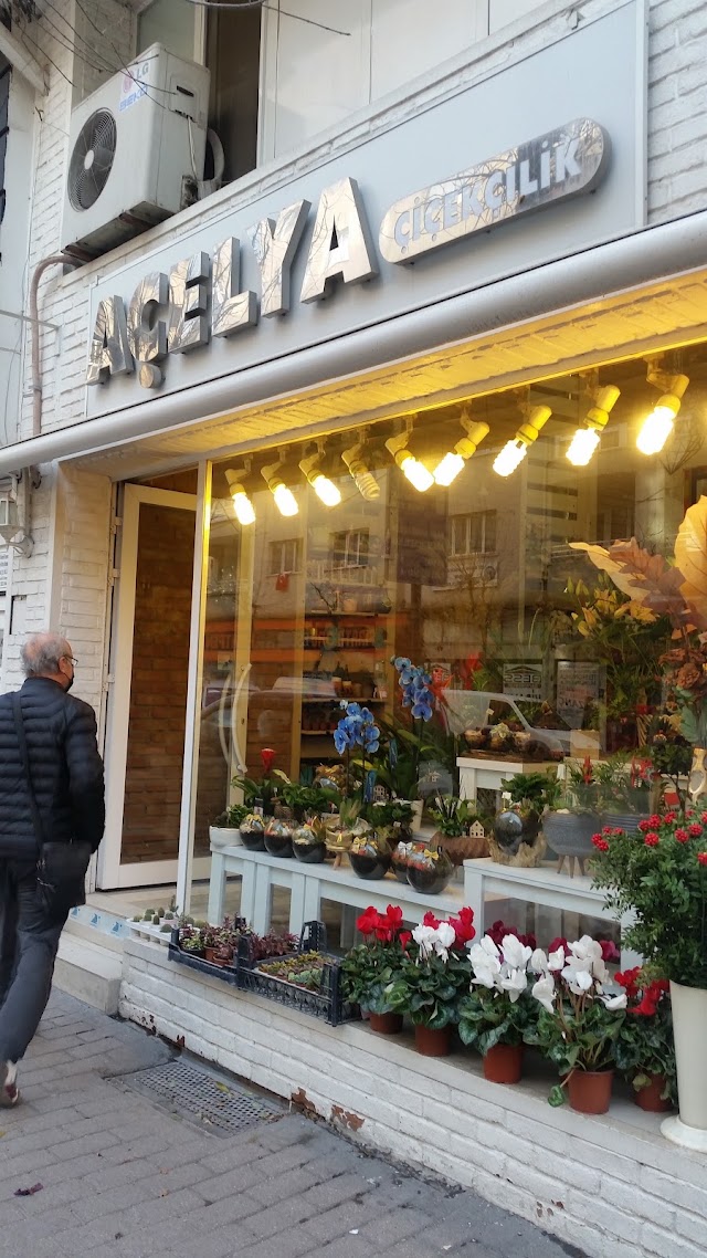 Açelya Çiçekçilik – Tepebaşı