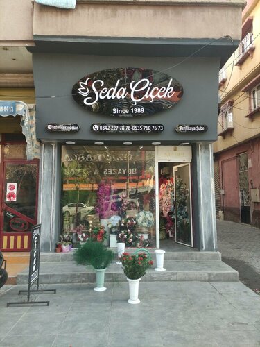 Seda Çiçek