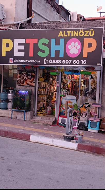 Altınözü evcil akvaryum