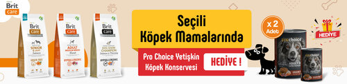 Arkın Pet Market