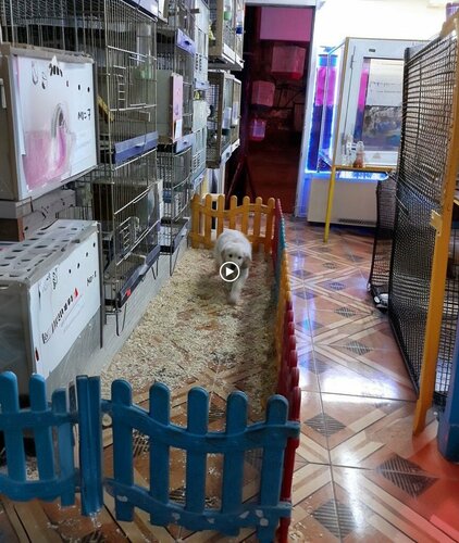 Antakya Petshop Hakan