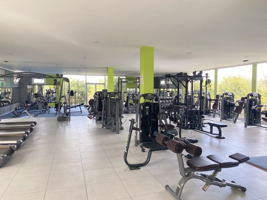 Angel Gold’s Fitness