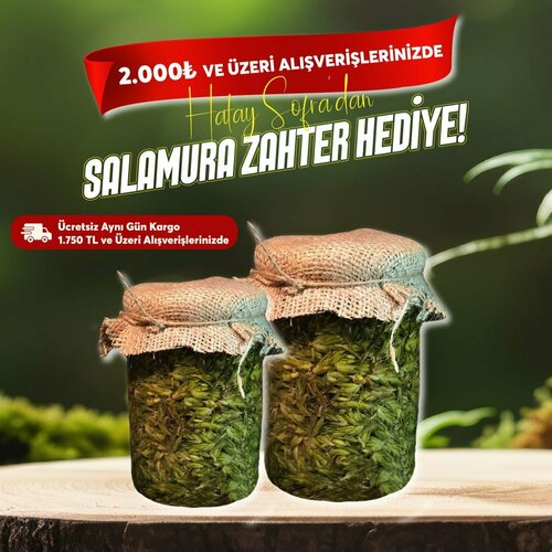 Hatay Sofra