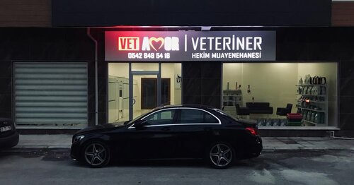 Vetamor Veteriner