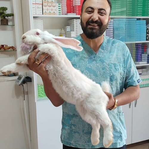 İskenderun Pet House