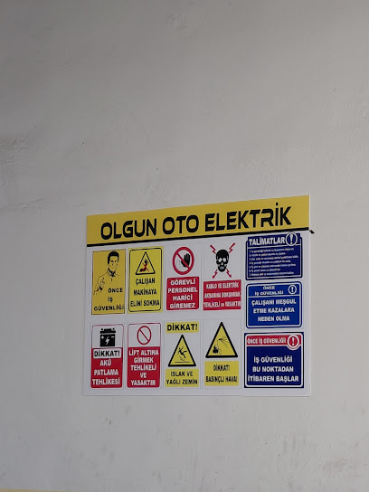 Olgun Oto Elektrik