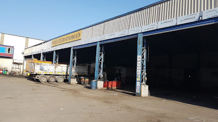 Dizelciler Otomotiv Payas