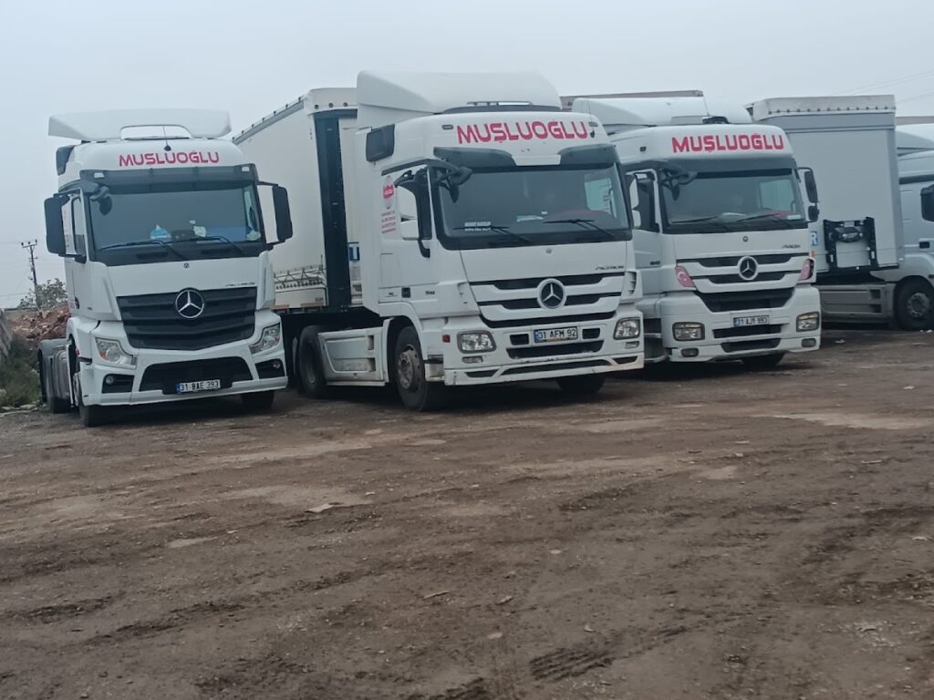 Alioğlu Uluslararası Taşımacılık