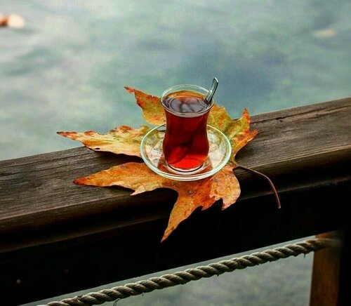 Tadım Diyarı Cafe