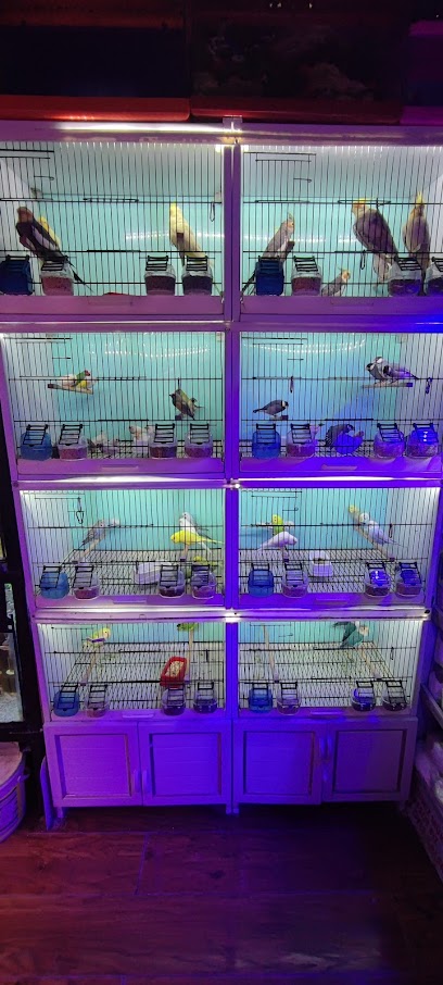 Discuss PETSHOP