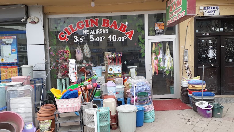 Çılgın baba