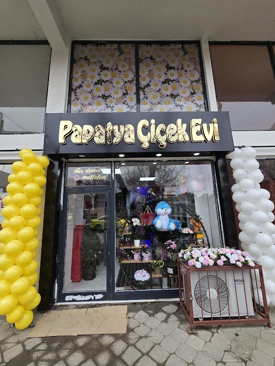Papatya çiçek evi